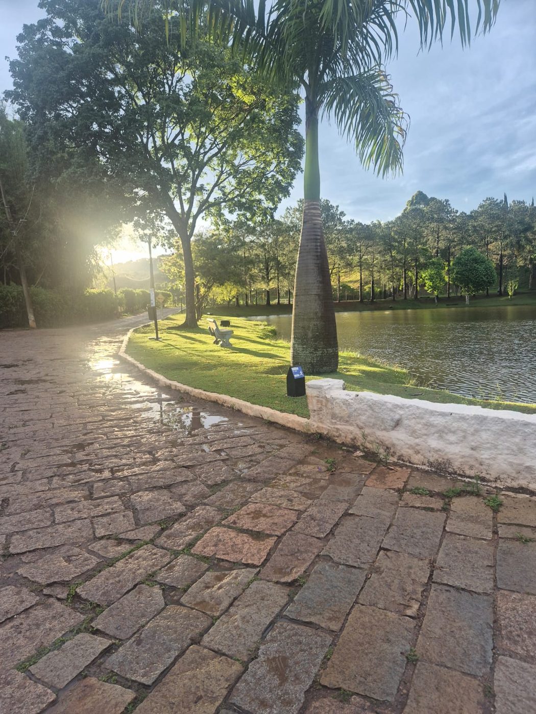 Rua arborizada à beira do lago no Condomínio Capela do Barreiro